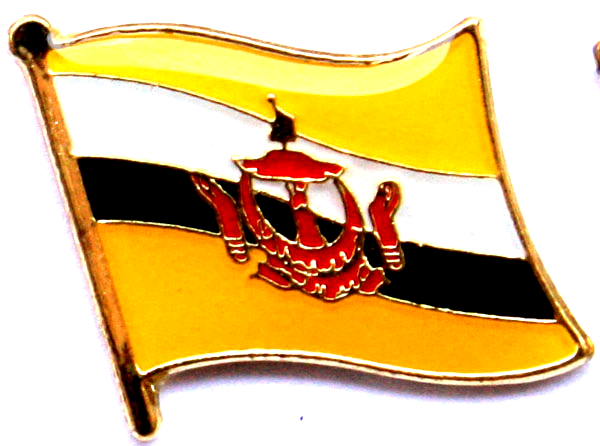 BRUNEI PIN