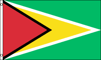 GUYANA FLAGGA 150X90CM