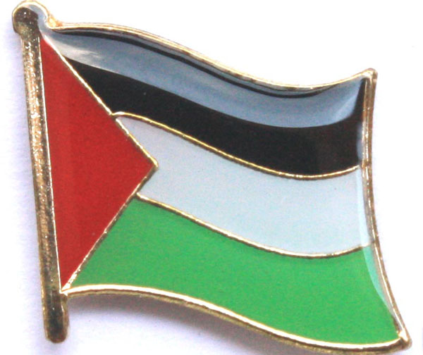 PALESTINA PIN