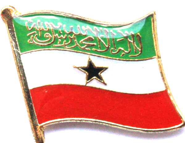 SOMALILAND PIN