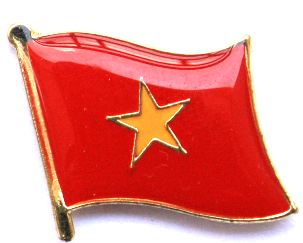 VIETNAM PIN